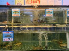-庆余生平价生猛海鲜(海棠湾林旺夜市店)