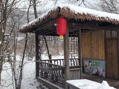 -大九湖