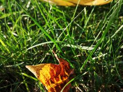 -青岛第三海水浴场