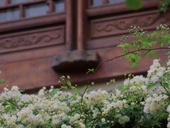 -老门东历史文化街区