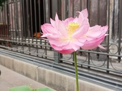 -成都市文殊院