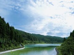 -武陵山森林公园