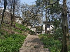 -苏州上方山国家森林公园