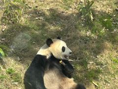 -武汉动物园