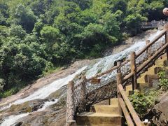 -广州白江湖森林公园