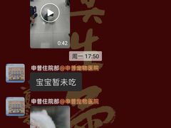 -申普宠物医院·心脏介入·心血管微创(总院)