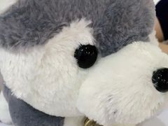 -Husky Go! 哈士奇体验馆·宠物咖啡厅狗咖