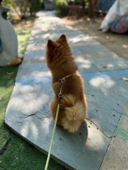 -萌宠亲子动物乐园(槐房万达店)