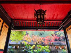 -峨眉山报国寺