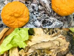 -三锅莊·牦牛肉火锅·香格里拉特色藏餐宴请餐厅(菱角塘路店)