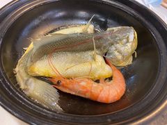 砂锅黄花鱼-勝記酒家·37年老字号·经典粤菜(荔枝公园店)