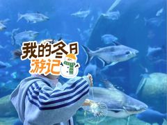 -太平洋海底世界