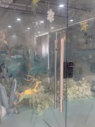 -可优蜜儿童摄影