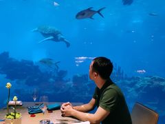 -海棠湾洲际-涛·海底餐厅·美人鱼·自助餐·海底隧道