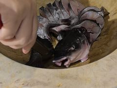 -云中鱼蒸汽石锅鱼(川沙百联店)