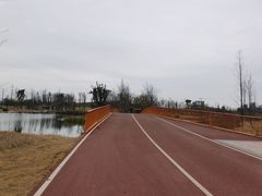 -白鹭湾湿地公园