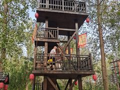 -合肥滨湖国家森林公园