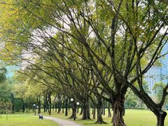 -荔香公园