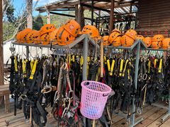 -清迈丛林飞跃 JungleFlight