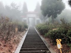 -江西阳明山国家森林公园