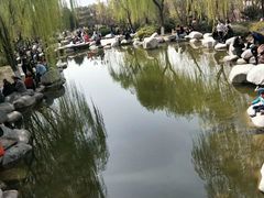 -西安青龙寺遗址景区