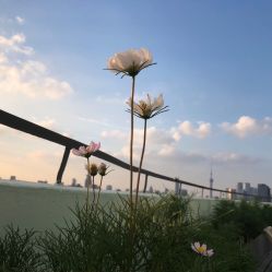 -DOS HOP潮上舞蹈