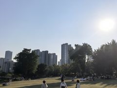 -牛岗山公园