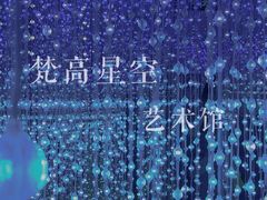 -天津梵高星空艺术馆(天河城旗舰店)