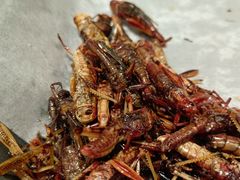 -川骄海鲜自助(河东店)