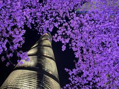 -上海中心大厦