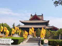 -大槐树寻根祭祖园