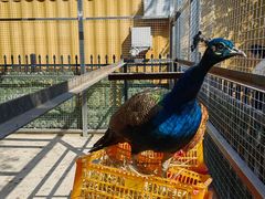 -北京海德酒店温泉