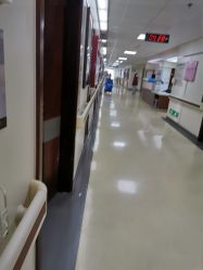 -复旦大学附属妇产科医院(杨浦院区)