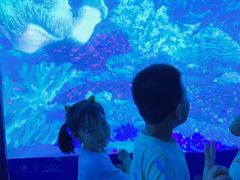 -烟台海昌鲸鲨海洋公园