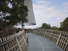 -福道