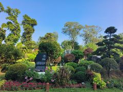 -东莞植物园