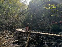 -香炉山国家森林公园