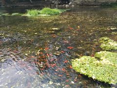 -水磨沟公园