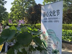 -莲花池公园