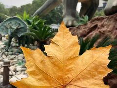 -陕西自然博物馆