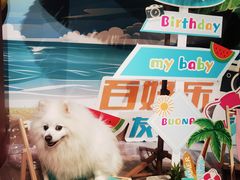 -百好乐宠物友好餐厅(朝外大街店)