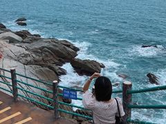-广东惠东海龟国家级自然保护区