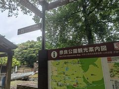 -奈良公园
