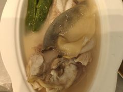 -沈灶河豚宴·河豚融合餐厅(汉中路店)