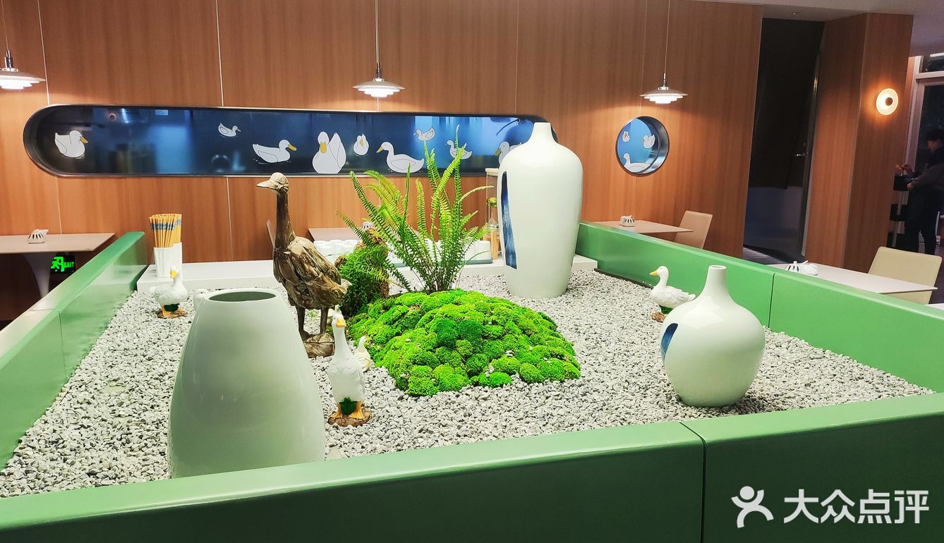 快园偶遇一坨猫
