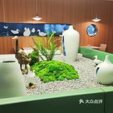 快园偶遇一坨猫