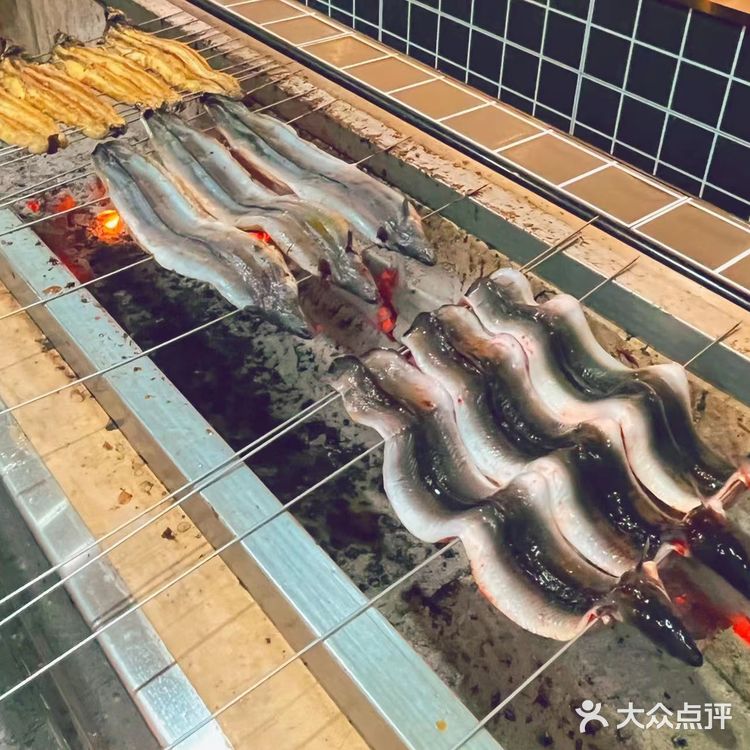 鳗鱼爱好者的福音！哲平鳗鱼强势来袭！