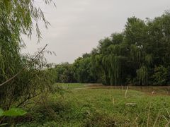 -西安浐灞国家湿地公园