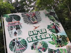 -西双版纳原始森林公园