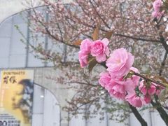-龙美术馆(西岸馆)